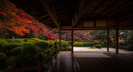 京都府 詩仙堂 紅葉