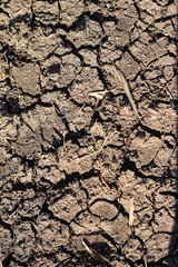 black, thirsty dry parched earth on a farm in drought in rural New South Wales, Australia