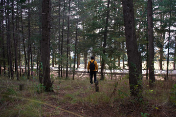 Caminata por el bosque