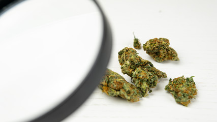 Medical marijuana buds and magnifying glass on the white table. Cannabis is a concept of herbal medicine