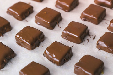 Handmade chocolate candies on baker sheet. Production of chocolate candies