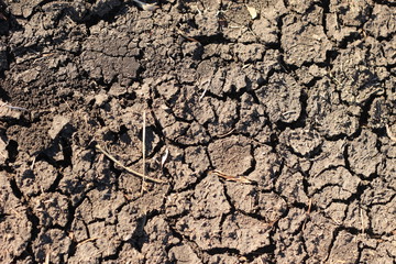black, thirsty dry parched earth on a farm in drought in rural New South Wales, Australia