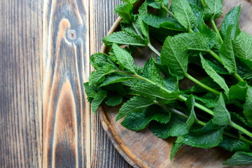 Fresh mint leaves in wooden plate Close up