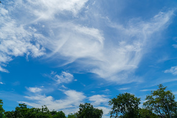 Fototapeta na wymiar Blue cloudy sky in the day light time.