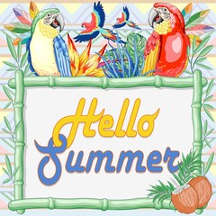 Macaw and Parrots "Hello Summer" Bamboo Frame on Ethnic Background Vector illustration