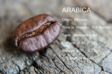 Arabica seeds with descriptions of Arabica coffee beans