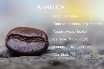 Arabica seeds with descriptions of Arabica coffee beans