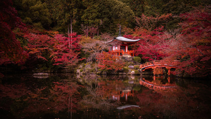 京都府 醍醐寺 紅葉