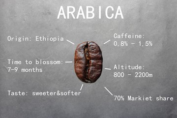 Arabica seeds with descriptions of Arabica coffee beans - obrazy, fototapety, plakaty