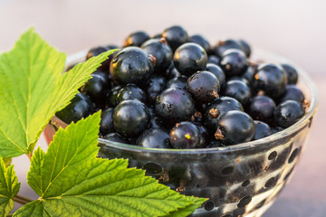 Tasty ripe currant and green leaf in a glass plate_