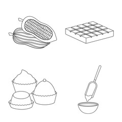 Isolated object of cocoa and beans icon. Collection of cocoa and sweetness stock symbol for web.