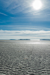 Fototapeta na wymiar Low tide on a beach off Vancouver Island viewing the Pacific Ocean sunrise