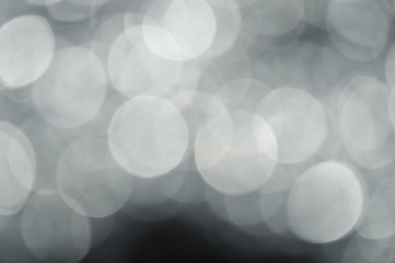 gray abstract bokeh background from nature environment. white blur abstract.  Christmas lights