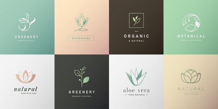 Set of natural and organic logo in modern design. Natural logo for branding, corporate identity, packaging and business card. 