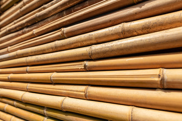Bamboo twig wall as abstract background