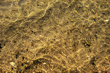 sunny calmy sea shallow water