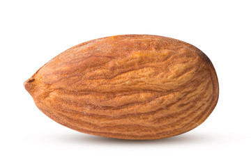 One tasty almond isolated on white background