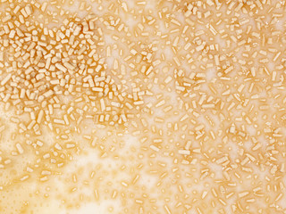 Yeast in dough as background