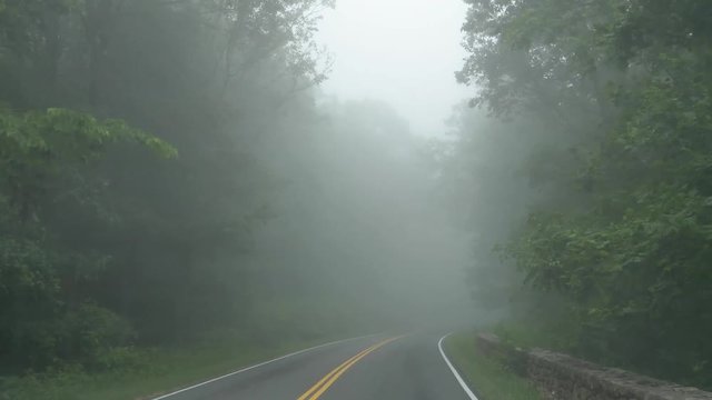 Drive Plate-Narrow curving 2 lane road through heavy fog on a green deciduous forest on the Skyline Drive through Shenandoah National Park in the Blue Ridge Mountains of Virginia-POV Forward