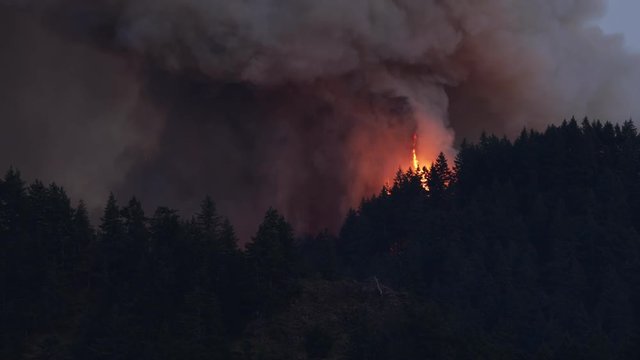 Large forest fire burns the tree covered side of a mountain near Portland Oregon
