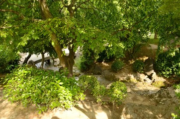 Stream in Pamplona park