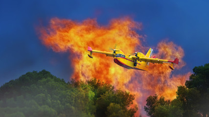 water-bomber plane extinguishes fire in the forest
