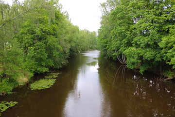 Fototapeta na wymiar a small river with green vegetation on the banks