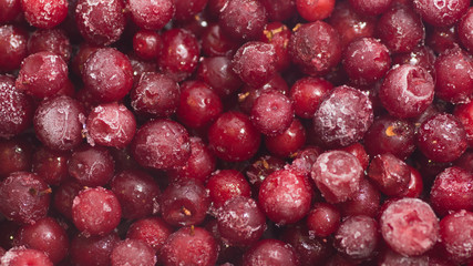 lots of fresh frozen cranberries pile on the table