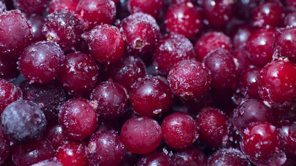 lots of fresh frozen cranberries pile on the table