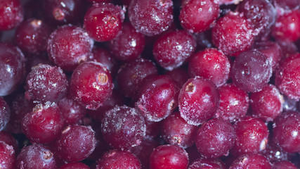 lots of fresh frozen cranberries pile on the table