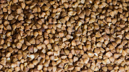 buckwheat backgruond