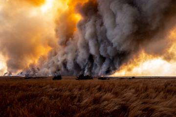 Prairie Wildfire