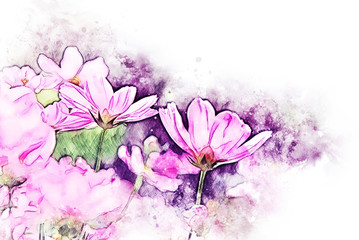 Abstract pink colorful shape on flower blooming watercolor illustration painting background.