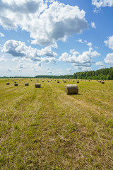 Fototapeta na wymiar hay rolls on a grass field on a sunny day