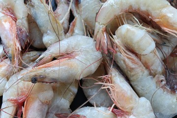 Frozen raw shrimp texture background