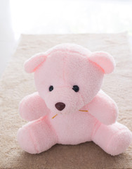 Pink teddy bear on the carpet background