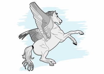 Obraz na płótnie Canvas Pegasus