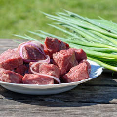 Summer picnic. Meat and greenery in white plates are laying on the table outdoors.