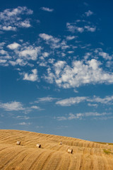 Val D'Orcia, Tuscany, Italy 