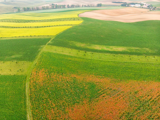 Obraz premium Colorful fields of Moravia