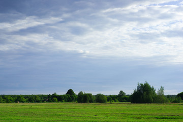 Clouds over the field on a summer day