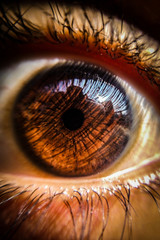 eye of a boy