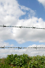 barbed wire with blue sky