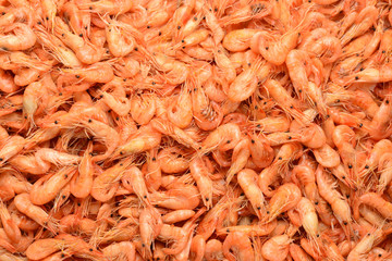Tasty fresh shrimps as background.