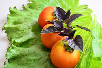  Tomatoes with basil on lettuce