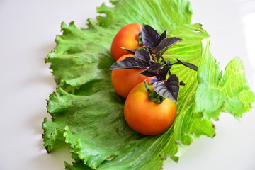  Tomatoes with basil on lettuce