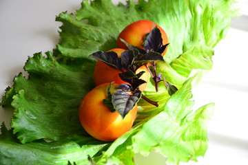  Tomatoes with basil on lettuce