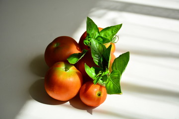 Tomatoes with basil
