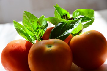 Tomatoes with basil