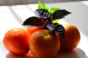 Tomatoes with basil